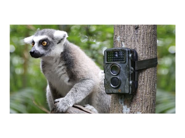 Technaxx Nature Wild Cam TX-69 - Kamerafälla - 5,0 MP / 12,0 MP (interpolerad) - 1080p / 15 fps - (engelsk användarmanual)