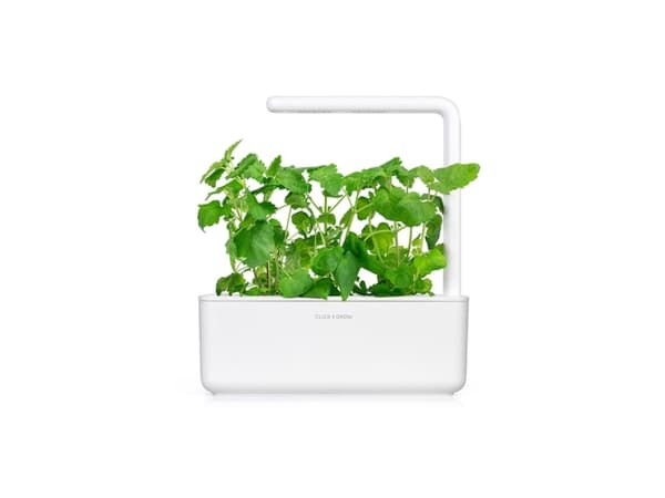 Click &amp; Grow siemenet smart pottiin - kissanminttu, 3 kpl.