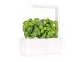 Pikkukuva 3 / 5: Click & Grow THE SMART GARDEN 3, LED