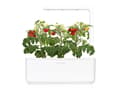 Pikkukuva 4 / 5: Click & Grow THE SMART GARDEN 3, LED