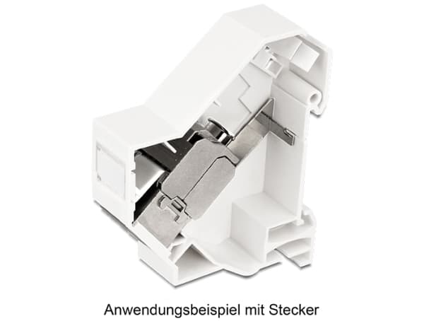 Delock Keystone Mounting for DIN rail shielded - Monteringsutgang for DIN-skinne - hvit - 1 port