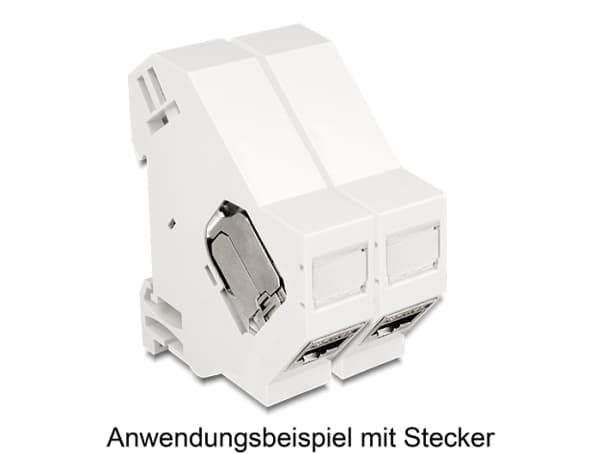 Delock Keystone Mounting for DIN rail shielded - Monteringsutgang for DIN-skinne - hvit - 1 port