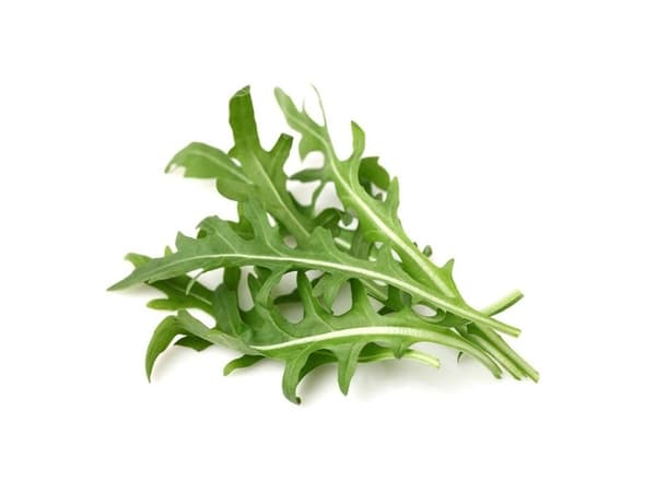 Click &amp; Grow siemenet smart pottiin - Lehtisinappi (SGR19X3) 3kpl.