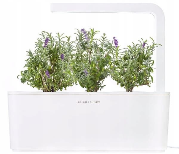 Taimekapsel Click &amp; Grow Plant pod 3 kpl, laventeli