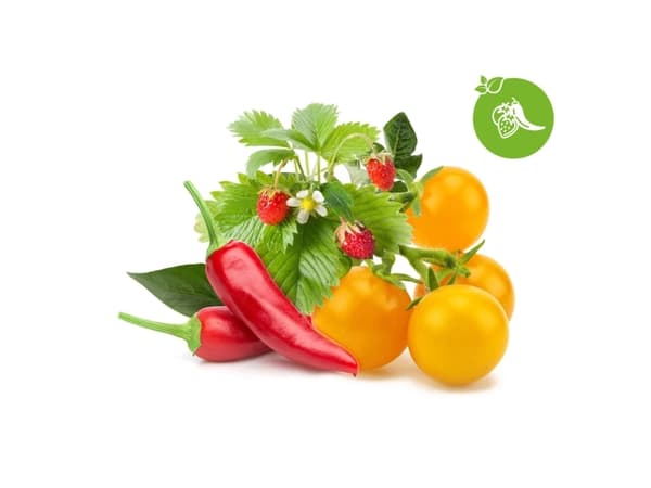 Plant pod Click &amp; Grow Kasvipod 9-pack, hedelmä- ja vihannessekoitus