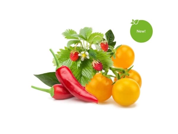 Plant pod Click &amp; Grow Kasvipod 9-pack, hedelmä- ja vihannessekoitus