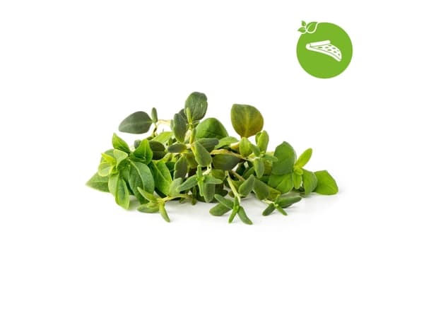 Click And Grow Click&Grow Nasiona Smart Soil mix ziół włoskich9pak