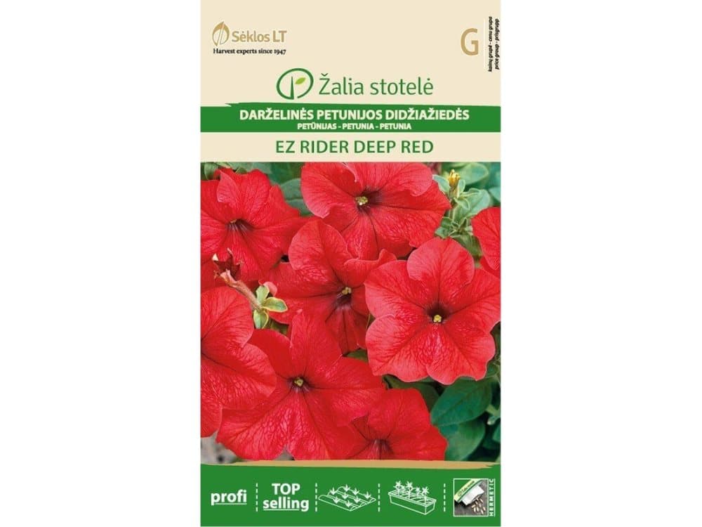 Seklos LT PETUNIJOS DARŽELINES DIDŽIAŽIEDES EZ RIDER DEEP RED "ŽALIA STOTELE" 20 S