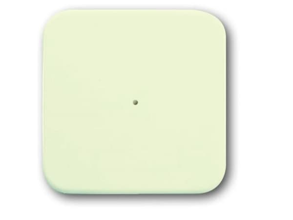 Busch Jaeger Kontrollelement 1-fach weiß 6731-212 (2CKA006730A0044)