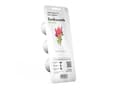 Pikkukuva 2 / 5: Click and Grow Smart Garden Refill 3-pack - Cockscomb
