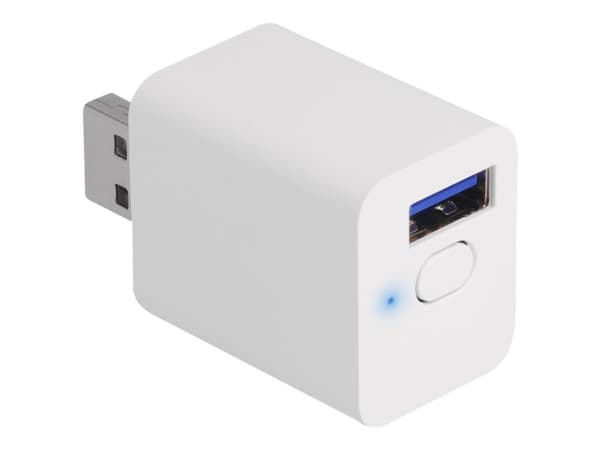 Delock - Smartsvitsj - WLAN, EASY-USB, MQTT - trådløs - 802.11b/g/n - 2.4 Ghz - hvit