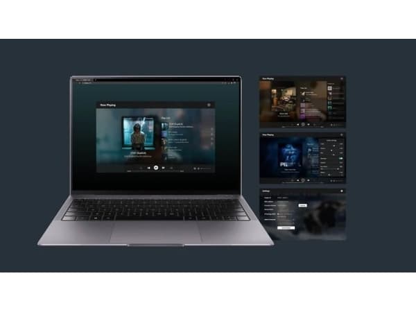 Arylic Arylic SA100 Multiroon Streamer med innebygd forsterker
