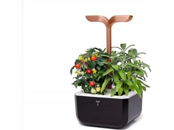 Veritabel Ekte ekte Doniczka Exky Smart Black&Copper