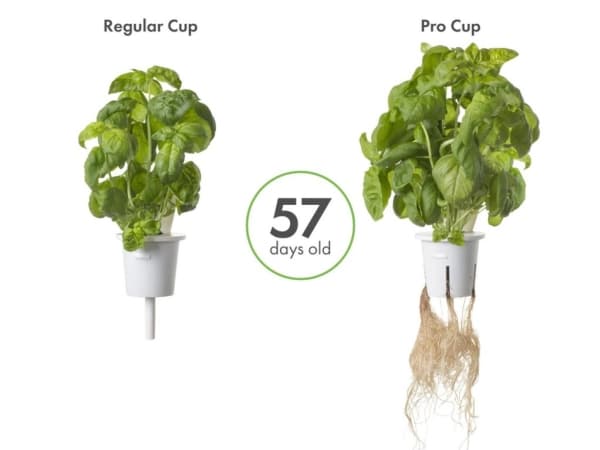 Click & Grow Pro Kasvikupit 9kpl