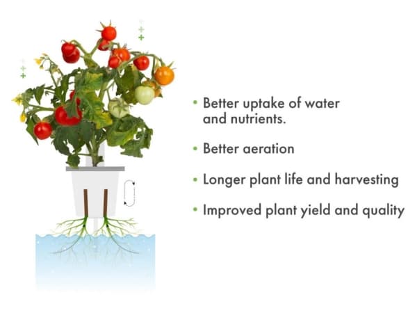Click & Grow Pro Kasvikupit 9kpl