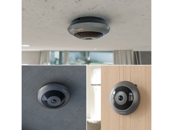 Reolink Fisheye Series P520, IP-turvakamera, sisä- ja ulkokäyttöön, langallinen, Google Assistant, katto/seinä, harmaa, musta