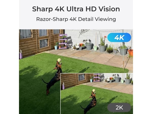 Reolink P330 - Nätverksövervakningskamera - kula - inomhusbruk, utomhusbruk - väderbeständig - färg (Dag&Natt) - 8 MP - 3840 x 2160 - 4K - ljud - LAN