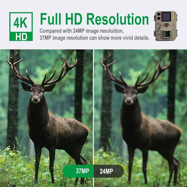 Bolyguard SG520-DB Åtelkamera, 37MP, 4K HD, PIR, IR, IP66