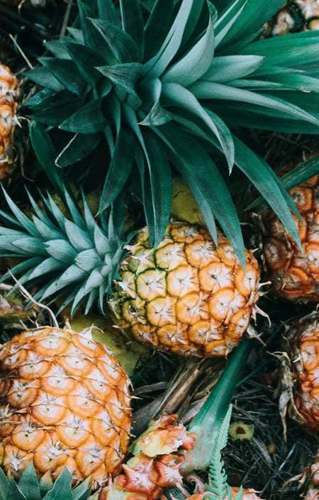 Bartenders sirap Ananas 700 ml för desserter, drycker, koncentrat TEISSEIRE