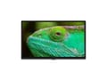 Miniatyrbilde 5 av 5: Lenco LED-3263BK LED 32'' HD Ready Android TV
