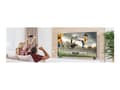 Miniatyrbilde 2 av 5: LG 43UR781C0LK - 43" Diagonalklasse LED-bakgrunnsbelyst LCD TV - Smart TV - ThinQ AI, webOS - 4K UHD (2160p) 3840 x 2160 - HDR - Direct LED