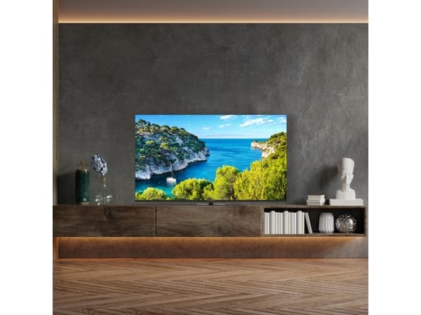 Thomson 65UG5C14, 165.1 cm (65"), 3840 x 2160 pixels, LCD, Smart TV, Wi-Fi, Black