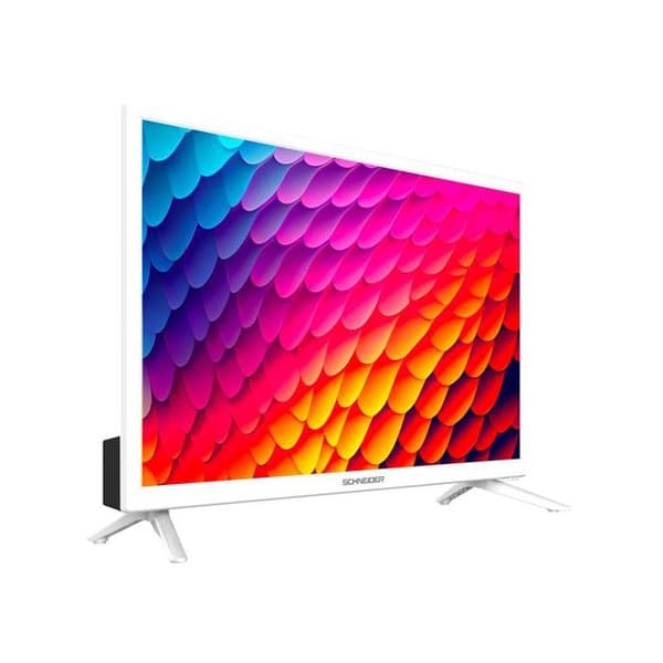 24'' SCHNEIDER-tv SCHNEIDER GMS24N100W-tv
