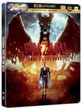 Miniatyrbillede 1 af 2: Shazam! Fury of the Gods