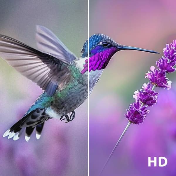 STRONG - TV HD 32" (80 cm) - Google TV - Wifi - Bluetooth - HDR - Chromecast - Google Assistent - 3 Tuner - 2xHDMI (ARC) + USB