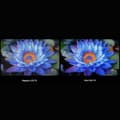 Miniatyrbillede 7 af 9: Smart TV Xiaomi MINILED 2025 LED 4K Ultra HD 75"