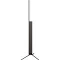 Pikkukuva 6 / 10: LG 55'' OLED B5 – 4K TV