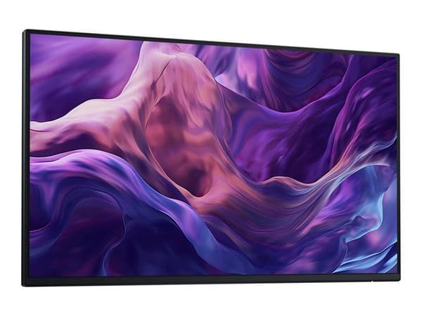 Dell 24 Monitor - P2425H utan stativ