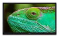 Miniatyrbilde 5 av 5: TV Lenco LED-2463 svart