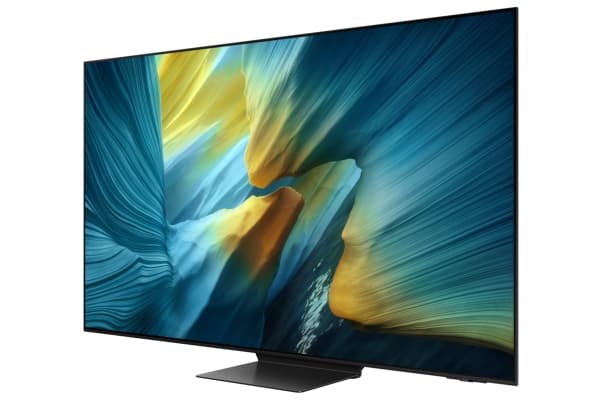 Samsung QE65S95FAT Svart
