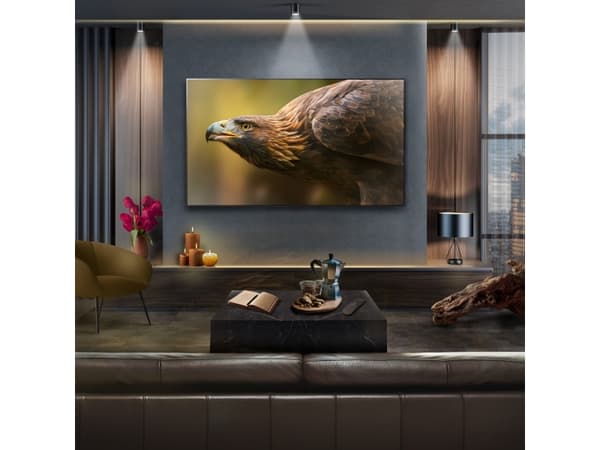 LG 77'' OLED evo G4 4K TV (2024) OLED77G45LW