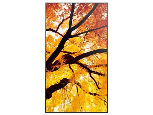 MODEL PN-M552, 55" M-Series Large Format Display, UHD, 550cd/m2, D-LED backlight, 24/7 proof, SDM Slot, CM-Slot