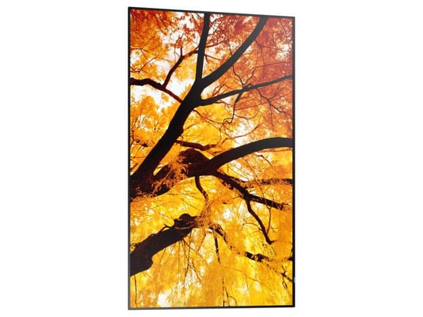 MODEL PN-M552, 55" M-Series Large Format Display, UHD, 550cd/m2, D-LED backlight, 24/7 proof, SDM Slot, CM-Slot