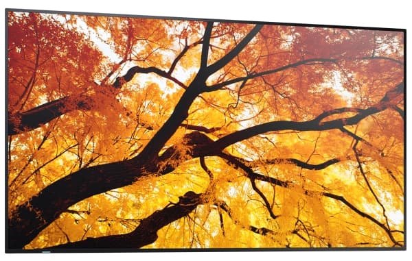 MODEL PN-M552, 55" M-Series Large Format Display, UHD, 550cd/m2, D-LED backlight, 24/7 proof, SDM Slot, CM-Slot