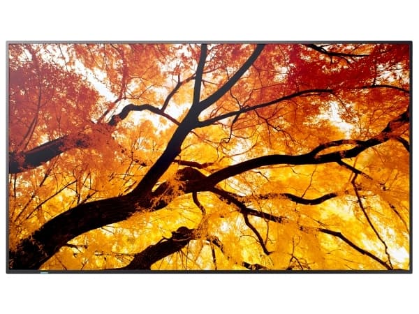 MODEL PN-M552, 55" M-Series Large Format Display, UHD, 550cd/m2, D-LED backlight, 24/7 proof, SDM Slot, CM-Slot
