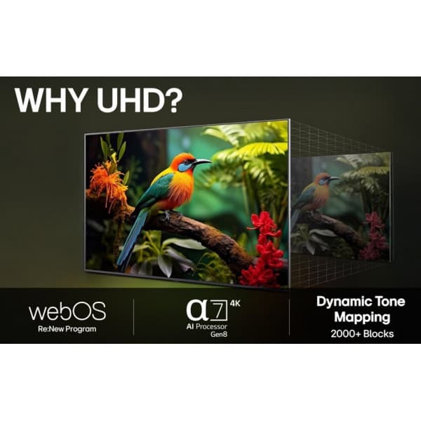 LG 55'' UA73 – 4K LED TV