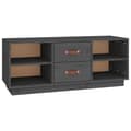 Miniatyrbilde 1 av 11: vidaXL TV-benk grå 100x34x40 cm heltre furu