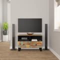 Miniatyrbillede 2 af 11: vidaXL tv-bord 70x33x46cm massivt genbrugstræ