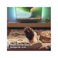 Miniatyrbild 2 av 6: Ljudpanel 2.0 - Philips - TAB5109/10 - 120 W max - Bluetooth 5.4 - HDMI ARC
