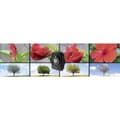 Miniatyrbild 3 av 10: Technaxx TX-164 Time-lapse-kamera