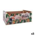 Miniatyrbillede 1 af 2: Dækkeserviet Confortime Paradise Træ Tropisk 58 x 39 x 21 cm (3 enheder)