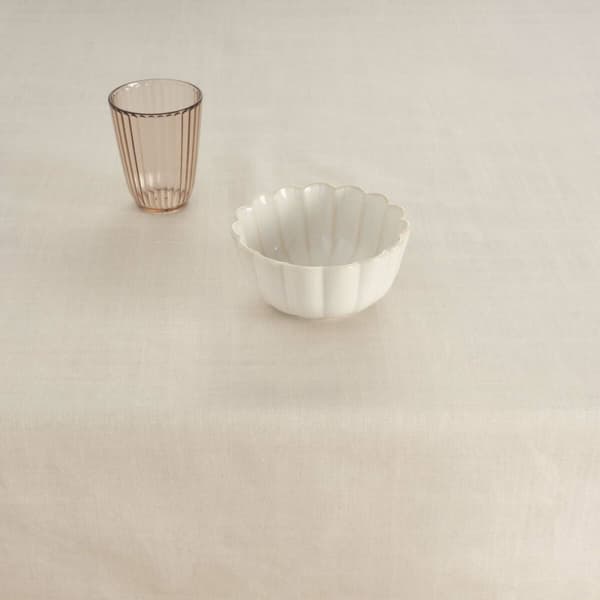 Fläckresistent bordsduk Belum Liso Ljusgrå 100 x 150 cm