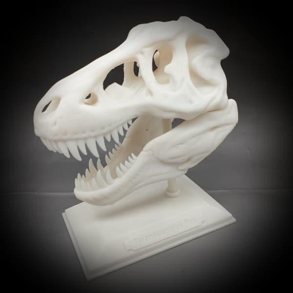 Tyrannosaurus Rex halloween skalle dekorasjon T-rex med stativ