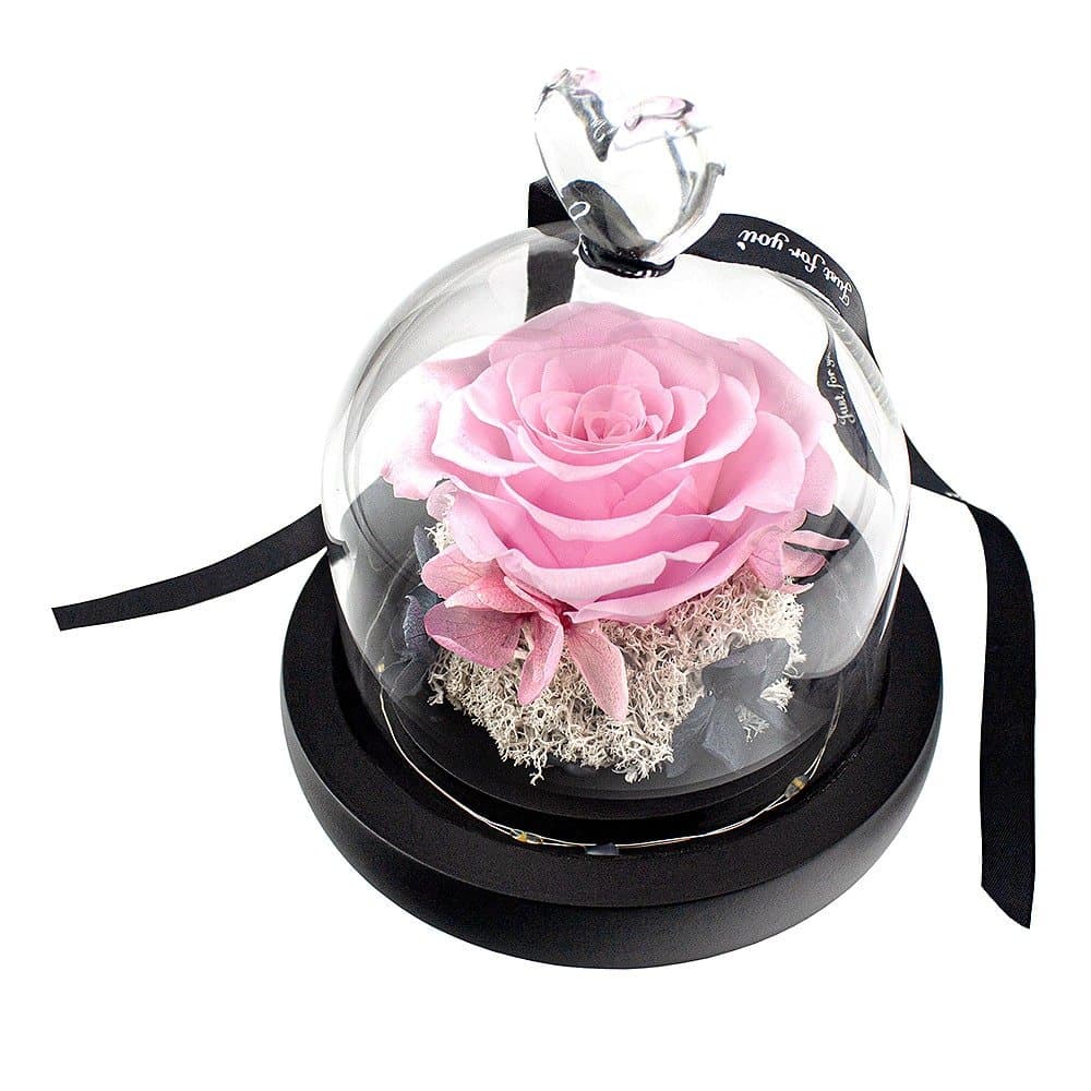 Liten Ros i Glaskupa - Rosa