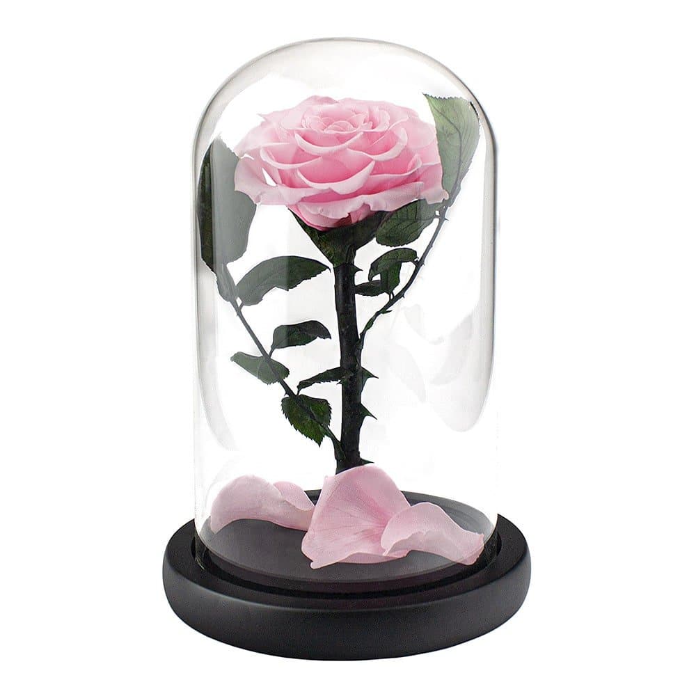 Stor Ros i Glaskupa - Rosa