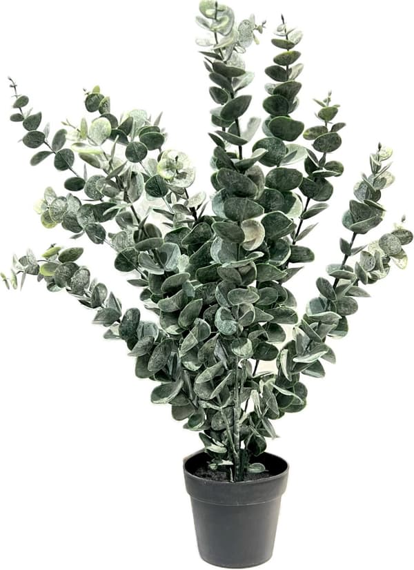 Eucalyptus Konstgjord 50 cm